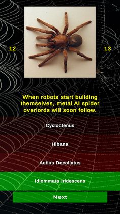 Arachnophobia Spider Quiz - Screenshot 4
