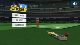 CricketWay - Screenshot 1