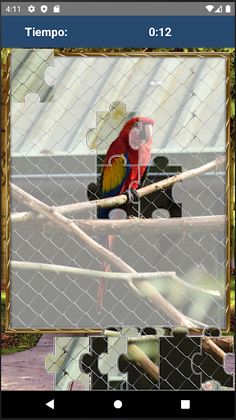 Rompecabezas de Guacamayas - Screenshot 4