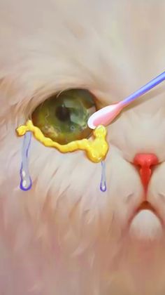 Animal Clinic - Hospital - Screenshot 1