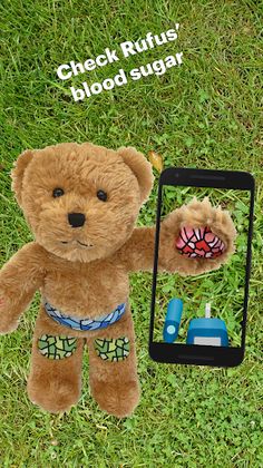 Rufus, the Bear with Diabetes - Screenshot 4