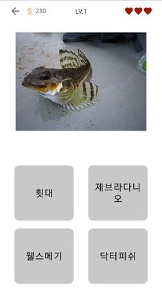 물고기 퀴즈 - Screenshot 2