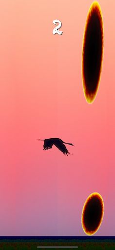 SilhouetteBird - Screenshot 4