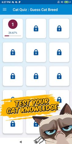 cat breed quiz - Screenshot 2