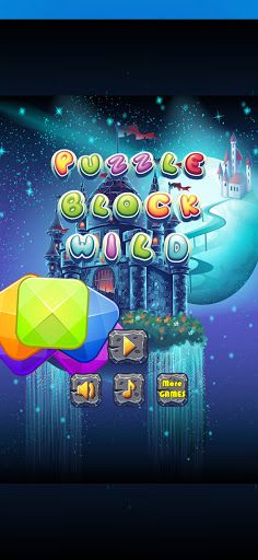 Puzzle Block - Screenshot 1