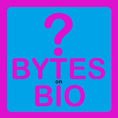 Bytes on Bio Quiz 1HV1 - Screenshot 1