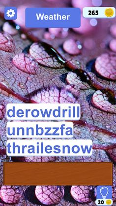 Word Slice - Screenshot 4