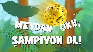 ZooLig - Screenshot 2