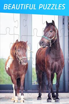 Pony and Horse Jigsaw Puzzles - Screenshot 1