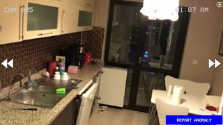 Paranormal Inc. Preview - Screenshot 3