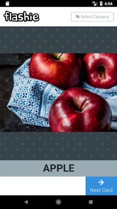 Flashie - Flash Cards For Todd - Screenshot 1