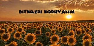 BitkiKoru - Screenshot 2