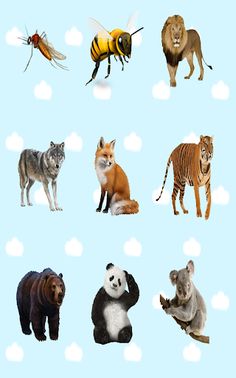 Animal sounds for kids - Screenshot 4