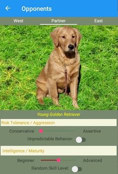 K9 Euchre - Screenshot 4