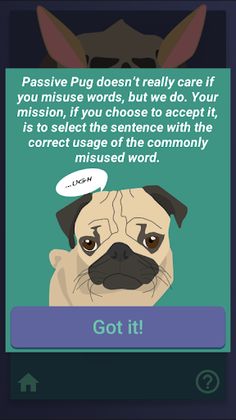 GrammOrNot - Screenshot 3