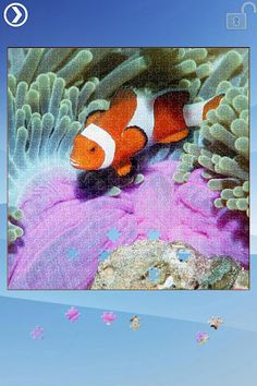 Sea Life Jigsaw Puzzles - Screenshot 3