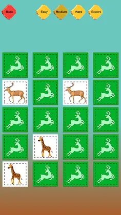 Memory Game - Match the Pair - Screenshot 4