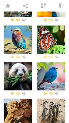 Jigsaw Animal Puzzles: Mosaic - Screenshot 2