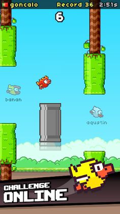 Flapping Multiplayer - Screenshot 1
