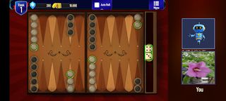 Video Backgammon - Screenshot 1