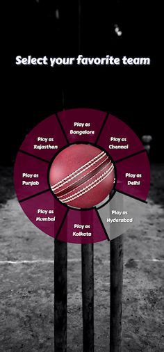 Cricket Legends - Screenshot 3