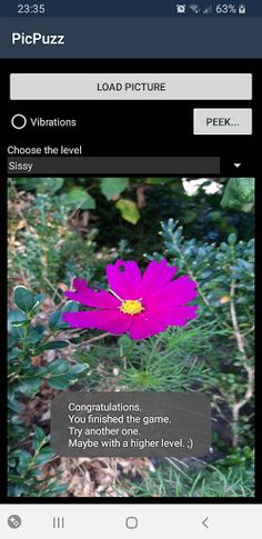 PicPuzz - Screenshot 2