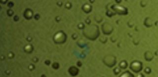 Frog Ball - Screenshot 1