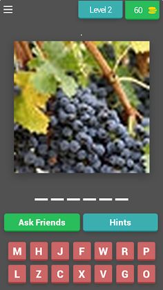 Favorite fruits - Screenshot 3