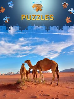 Desert Jigsaw Puzzles free - Screenshot 1