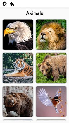 Pure Jigsaw - Screenshot 2