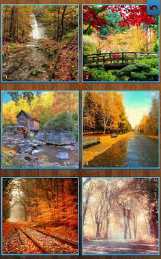 Autumn Jigsaw Puzzles - Screenshot 1