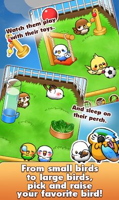 Bird Life - Screenshot 4