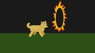 Doge Circus - Screenshot 1