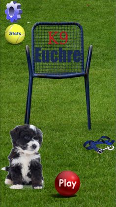 K9 Euchre - Screenshot 1