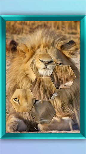 Jigsaw Puzzle - Jigsort Master - Screenshot 1