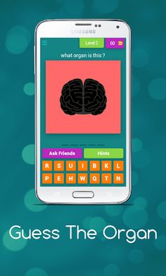 Guess The Organ - Screenshot 3