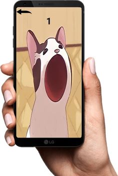 Pop Kot - Screenshot 2