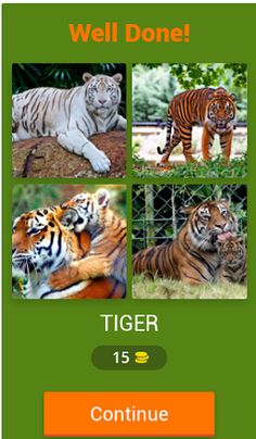 Animal quiz - Screenshot 2