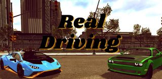 Real Driving - Screenshot 1
