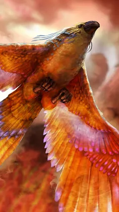 Opticale - Screenshot 4
