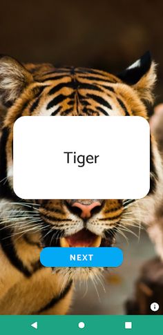 Who’s willie? - Screenshot 3