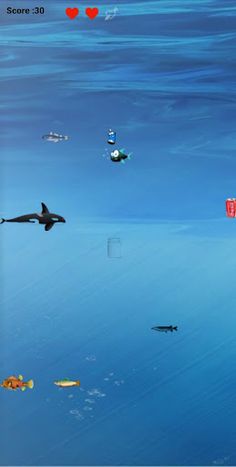 Marine Debris : Rescue - Screenshot 3