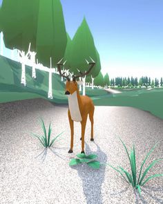 Animal Chase - Screenshot 4