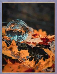 Spin Puzzle Pro - Screenshot 3