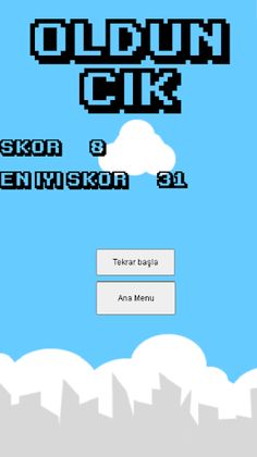 Serdar Abi Bird - Screenshot 1