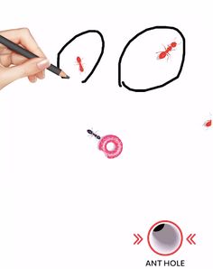 Save the Ant - Screenshot 4