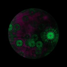 f49w: Test_DF_02 - Screenshot 1