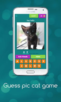 Guess Cute Cat Game - Screenshot 1