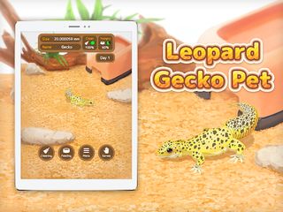 Leopard Gecko Pet - Screenshot 2