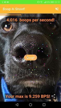 Boop A Snoot! - Screenshot 2